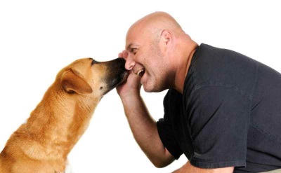 אימוץ כלבים בנמל תל אביב