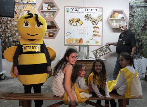 דבורת התבור, פעילות לילדים, אתר לגדול אתר המשפחות של ישראל
