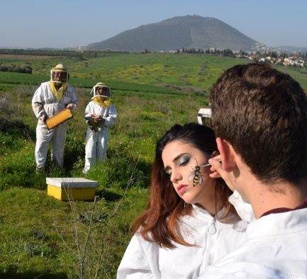 דבורת התבור פורים - לגדול