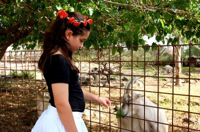 עצמאות בדבורת התבור