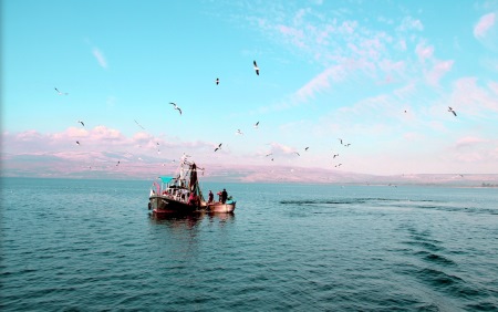 האכלת דגים בכנרת צילום אשלי פירסון