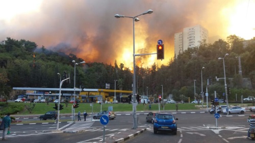 השריפה בחיפה 2016 - איך להסביר לילדים על הדליקות