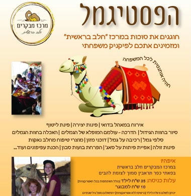 פסטיגמל סוכות 2017 בדרום