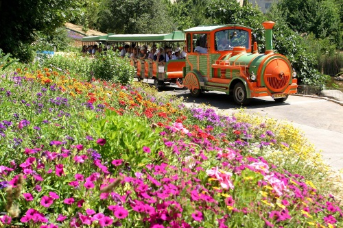 הגן הבוטני בירושלים