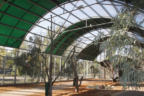 צפריית תוכים חדשה בגן גורו קיץ 2016