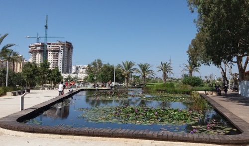 גן בעברית ראשון לציון צילום ירון שמאי