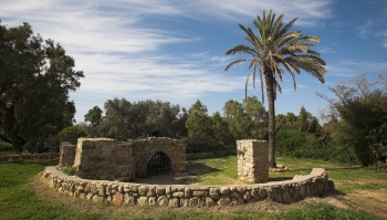 גן לאומי אשקלון עורך הפנינג לתושבי הדרום