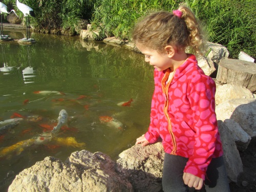בגן היפני בקיבוץ חפצי-בה