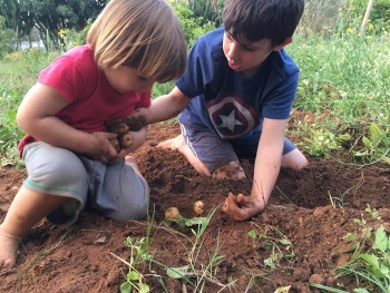 גינת אוכל פעילות לילדים בביתן אהרון משק הלברכט