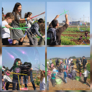 קטיף איכותי גלילות אתר לגדול