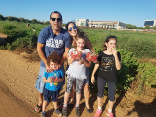 קטיף איכותי בגלילות אתר לגדול