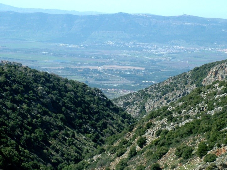 נחל חזורי הזורם בשמורת הטבע רכס חרמון הינו אחד מיובליו של נחל גובתה המפריד בין כתף חרמון לשלוחת שריון.