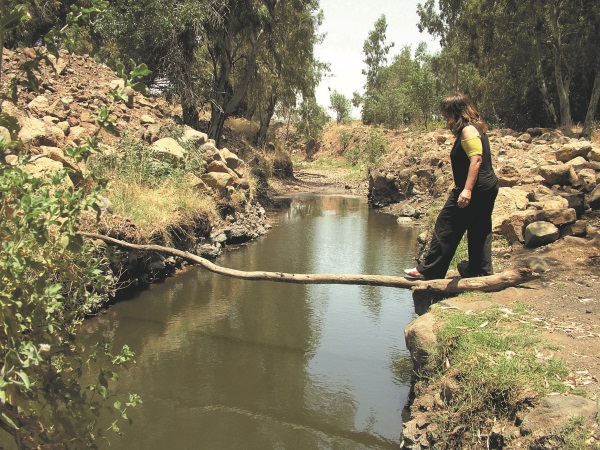 שמורת הטבע עיינות פאחם נמצאת על שביל הגולן באזור הדרומי שלו.