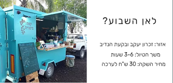 משחק סלולרי לכל המשפחה אחרת אתר לגדול