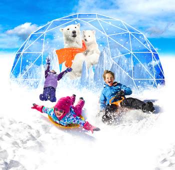 האיגלו בארנה הרצליה, מתחם שלג חווייתי בקיץ 2019 - לגדול
