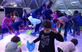 האיגלו בארנה