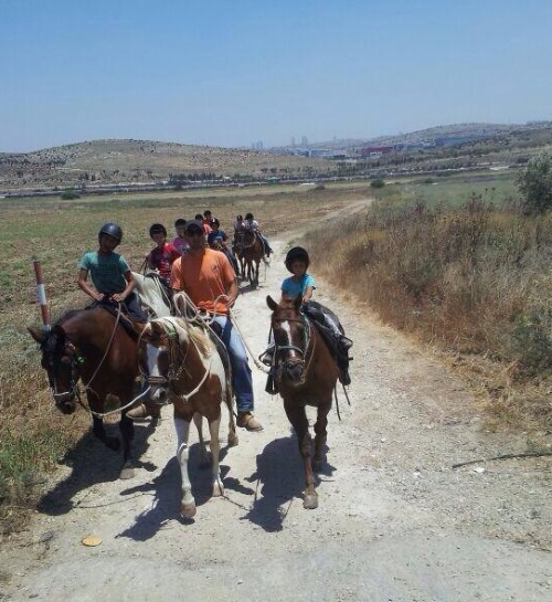 רכיבה על סוסים לילדים בחוות המאלף - אתר לגדול