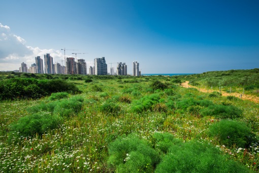 טיול לשבת, מגוון טיולים למשפחות ולילדים אתר לגדול