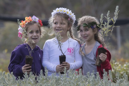 ט"ו בשבט אירועי קרן קיימת לישראל