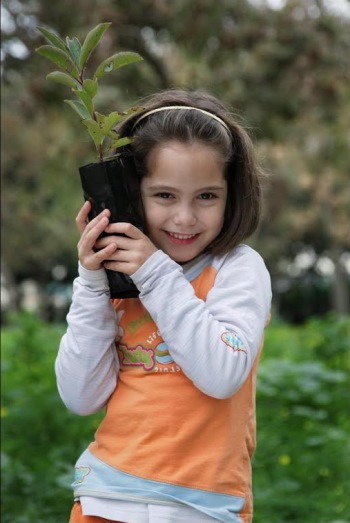 נטיעות קק"ל בתל אביב