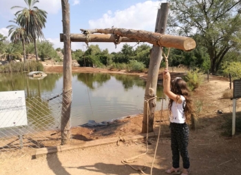 פארק נאות קדומים סוכות 2018