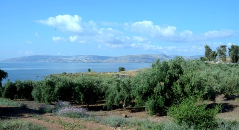 תצפית אל הכנרת (רשות ניקוז ונחלים)