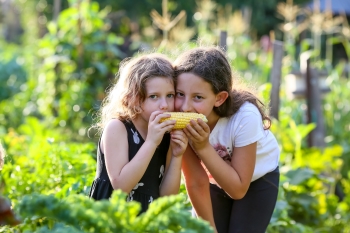 קלחים ומבוכים