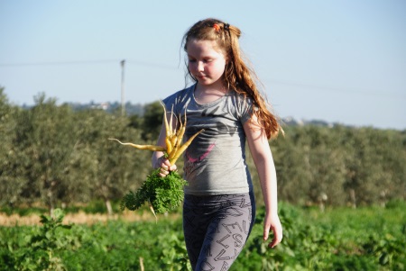 קטופותי קטיף עצמי בית לחם הגלילית