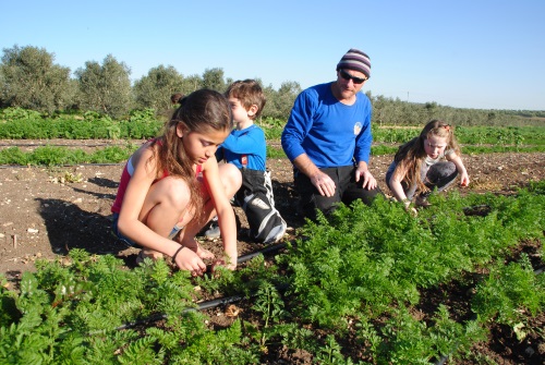 קטופותי בבית לחם הגלילי