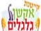 קייטנת אקשן על גלגלים