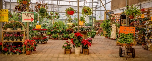 משתלות גבעת ברנר