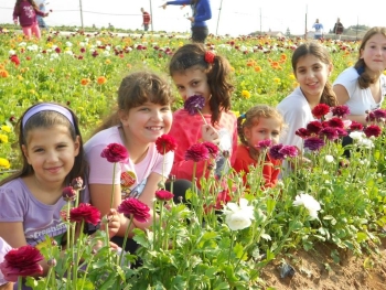 משק 6 קטיף עצמי תותים ופרחים בשרון- אתר לגדול