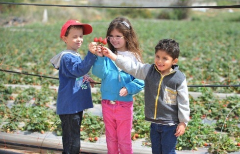 משק שש קטיף עצמי