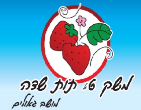 משק 6 קטיף תות בגאולים
