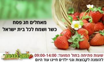 משק בגבעה