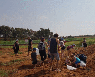 קטיף עצמי משוך בגזר מושב צופית אתר לגדול