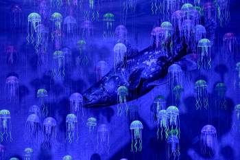 ,תערוכת מפלצות הים - פסח 2019 בבאר שבע - אתר לגדול