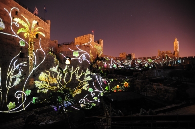 חיזיון לילי מגדל דוד