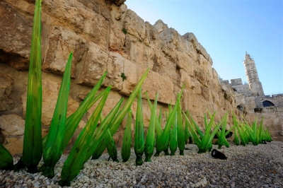 מוזיאון מגדל דוד
