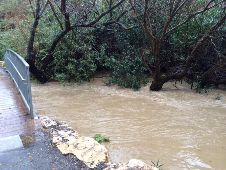 זרימת נחל עיון 2015 רשות הטבע והגנים