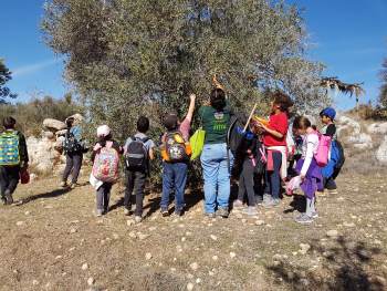 חנוכה בפארק נאות קדומים אטרקציות לילדים בחנוכה אתר לגדול