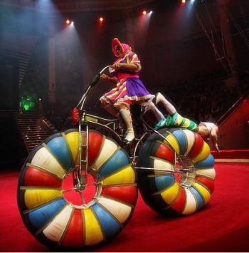 קרקס ניקולין