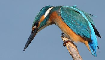 פארק המעיינות טיולים למשפחות בשבת