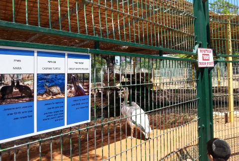 פינת חי בפארק רעננה