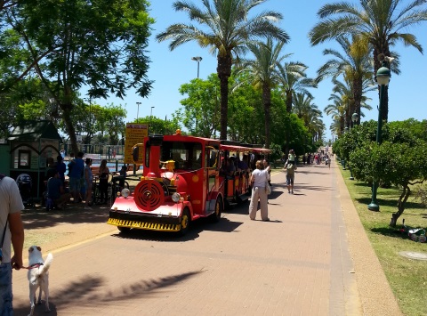 רכבת פארק רעננה