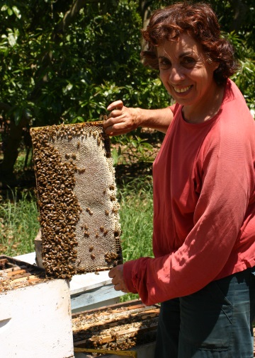 מכוורת פרחי הגליל פסטיבל הדבש