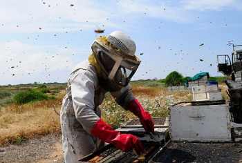 ראש השנה במוזיאון החצר הישנה