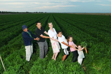 פסטיבל מהשדה לצלחת