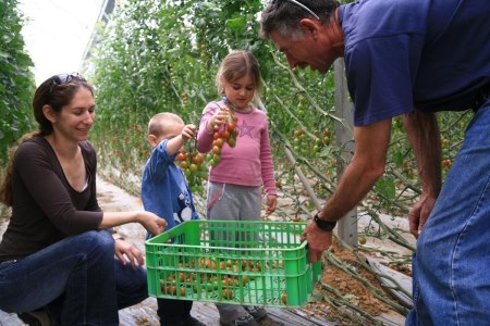 מהשדה לצלחת 2014