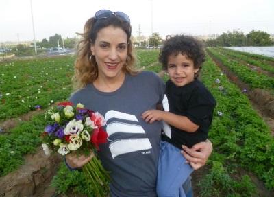 קטיף תותים וכלניות שדות
